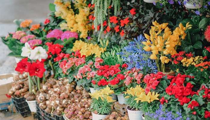 Beautiful flowers of Dadar Flower Market