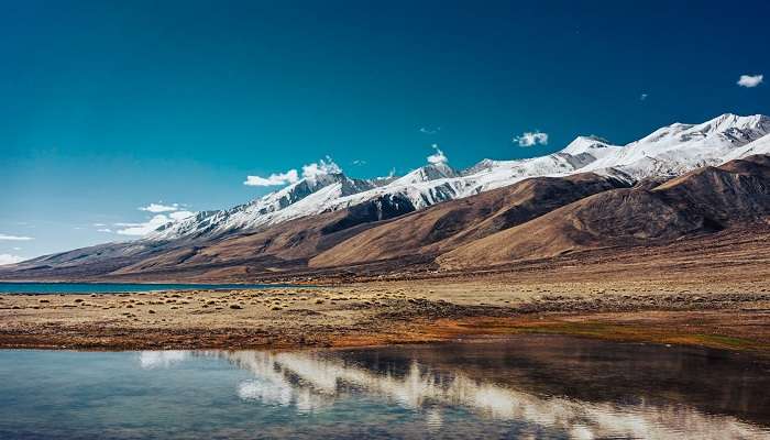 The Magnificent view of Dhankar Lake near Dhankar Gompa