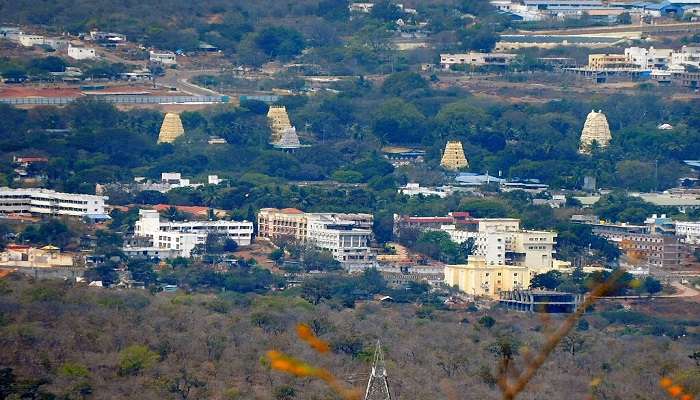 Nearby towns like Srisailam and Nagarjunasagar offer a diverse range of accommodation options