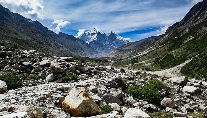 The serene view of Gangotri National Park