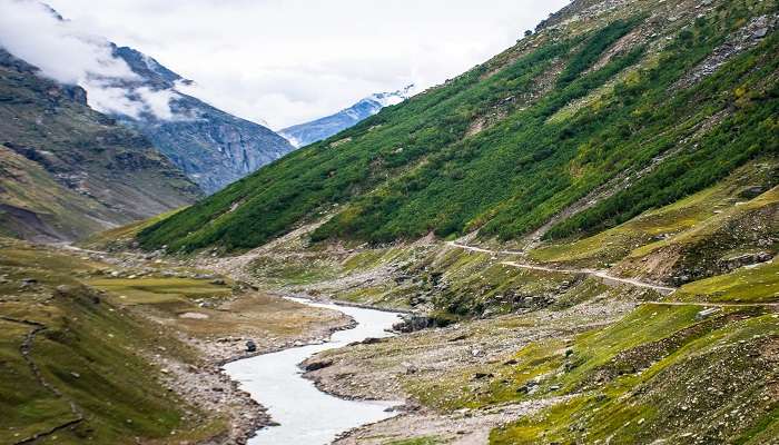 Lush green meadows of Green Valley with grazing horses and pine forests