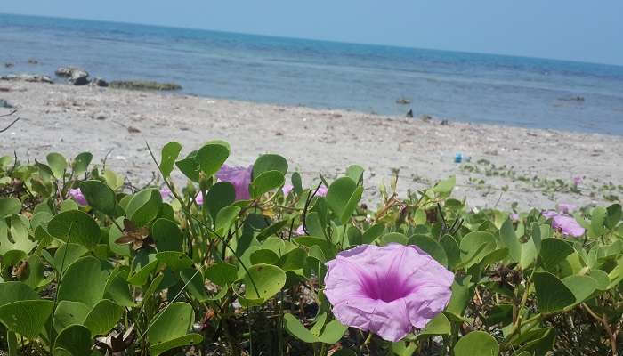 KK Beach (Kahanda Kanda Beach)