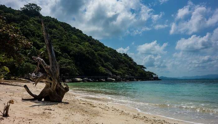 La vue de belle plage de Koh Phangan