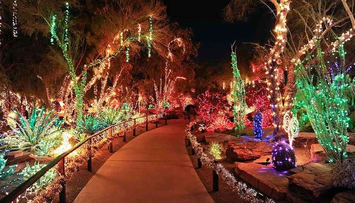 La chocolaterie et le jardin de cactus d’Ethel M