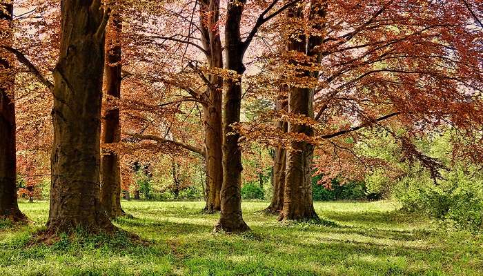 An image resembling Malumichampatti Eco Park.