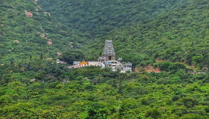 The deity idol at Marudhamalai Hill Temple, depicts Lord Murugan in a traditional and intricately adorned form