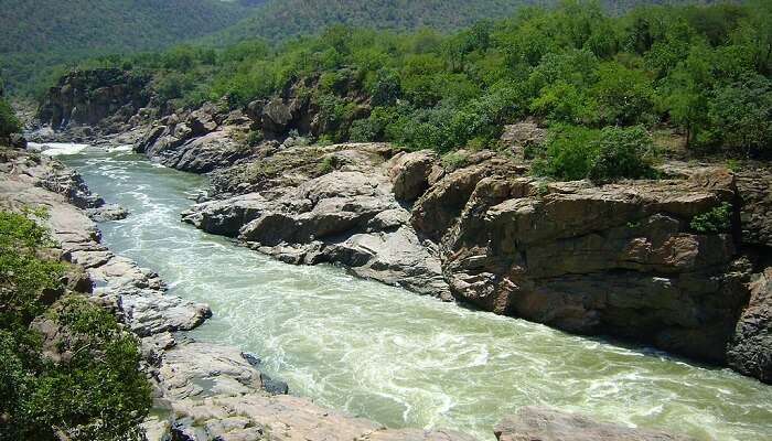 The Gayathri Falls are a natural wonder,