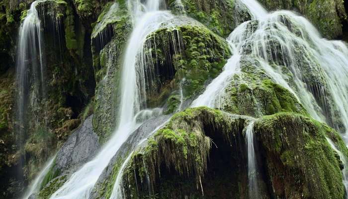 Witness the Magic of Monsoon