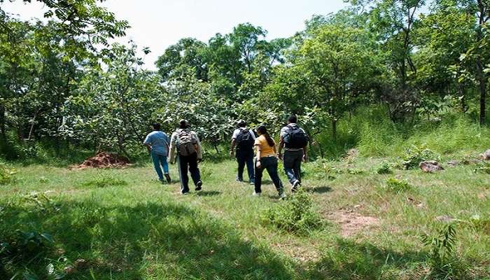 Tropical forest that covers an area of almost 25 square kilometres 