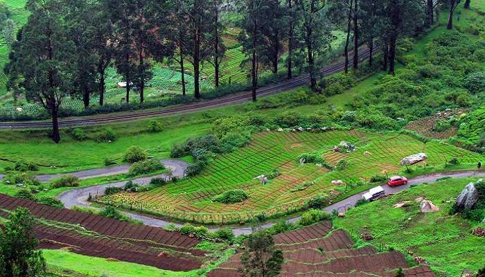 Ooty: Fêtez le Nouvel An en paix