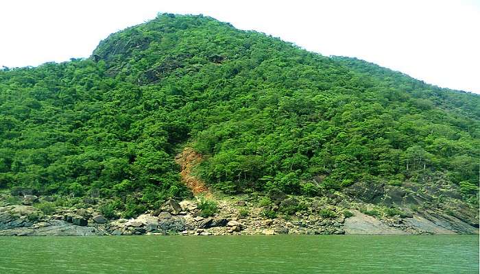 Lush green forests on the Papi Hills