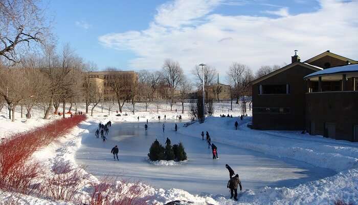 Parc La Fontaine: Patinage sur glace