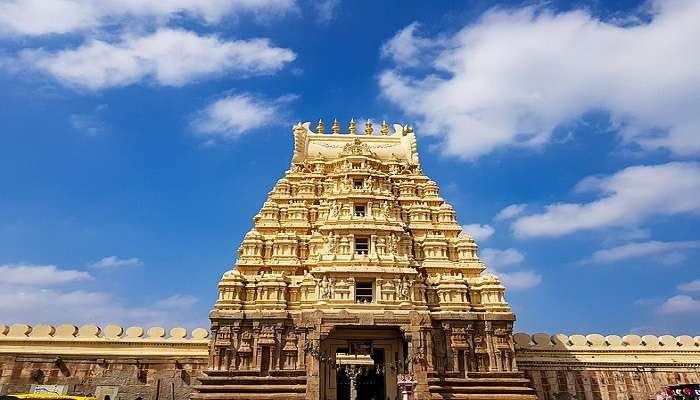 The Ranganathaswamy Temple is dedicated to Lord Shri Ranganathaswamy near Madhyawaraya Temple