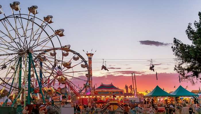 Enjoy the rides at the State Fair Of Florida