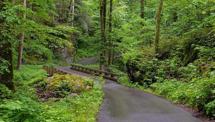 Roaring Fork is one of the most Haunted Places in Gatlinburg.