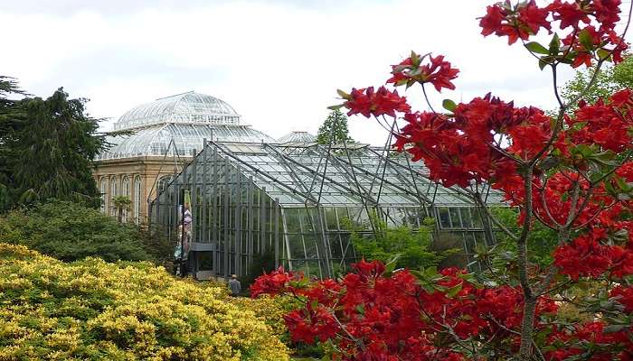 christmas at edinburgh botanic gardens