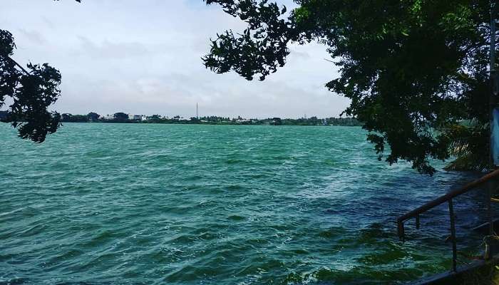 Serene view of Sulur Lake near Coimbatore.