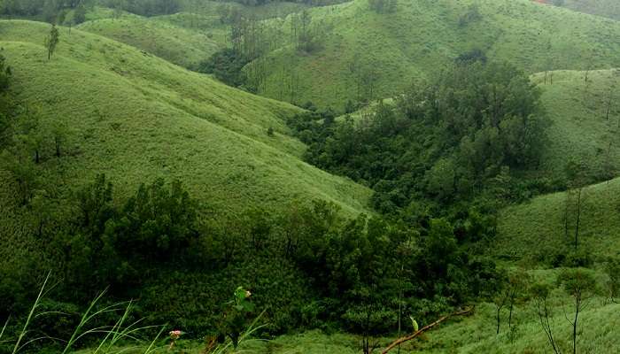 Vagamon is another popular must-visit spot that you need to explore