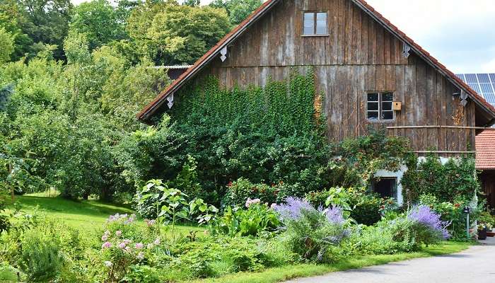 Among the top hotels in Otorohanga, Waitomo Homestead and Cabins offer a perfect blend of convenience and comfort