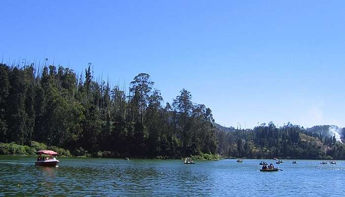 Take a trip to the Ooty lake during your visit here.