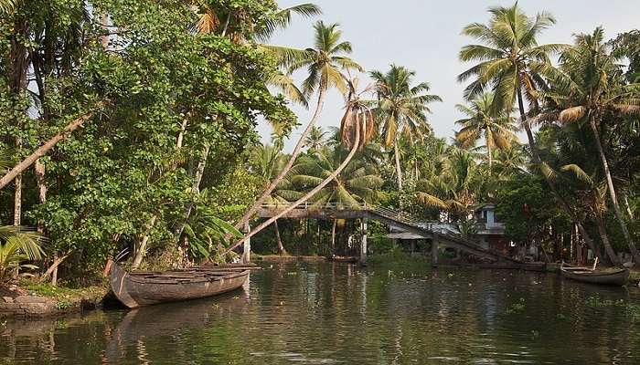 If you have 4 days to explore Kerala, this Kerala Itinerary is the perfect one for you