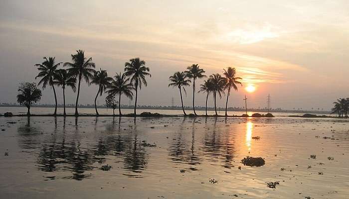 With 7 days in Kerala, you can explore the entirety of central Kerala