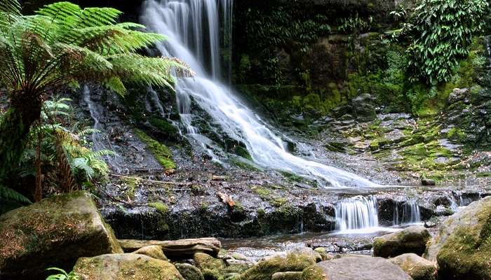 vue magnifique de Chutes Horseshoe