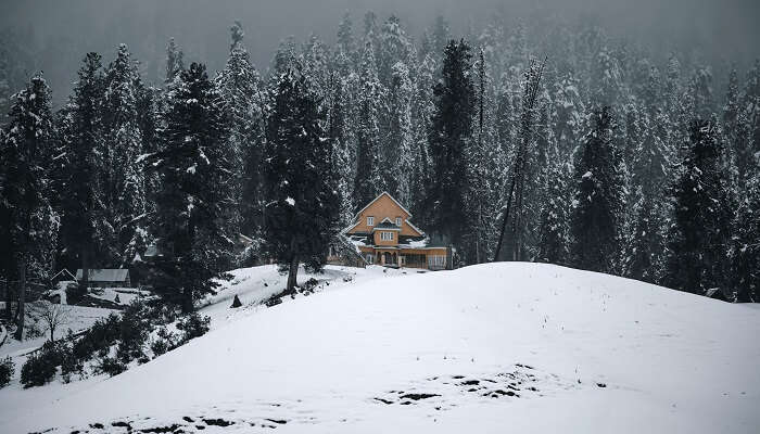 Gulmarg