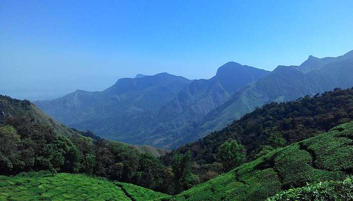 Exploring Kerala on bicycle lets you get up close and personal with its magical mix of scenery and culture