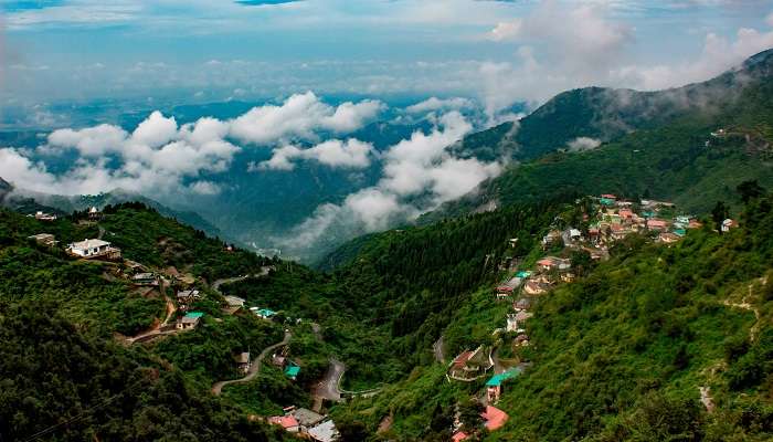 Kanatal /Mussoorie /Dhanaulti