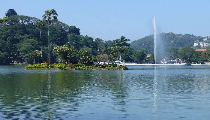 Kandy – Jardins de thé et histoire