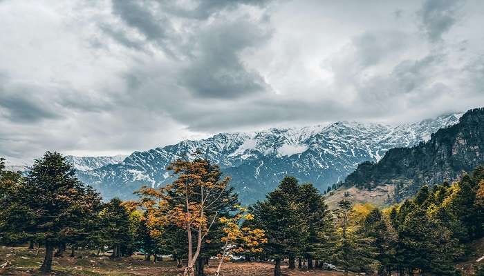 Weekend Getaways near Delhi for couples - #4 Kullu