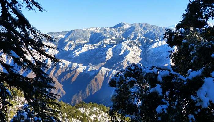 Landour /Nag Tibba