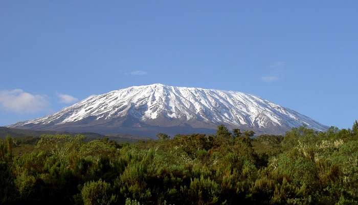 La vue magnifique de Mont Kilimandjaro