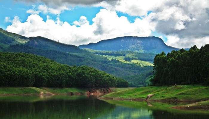 Munnar is a tranquil hill station that is also one of the most popular tourist destinations in Kerala