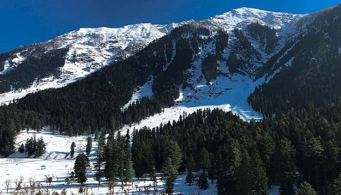 Pahalgam et Gulmarg: pour le look hivernal blanc