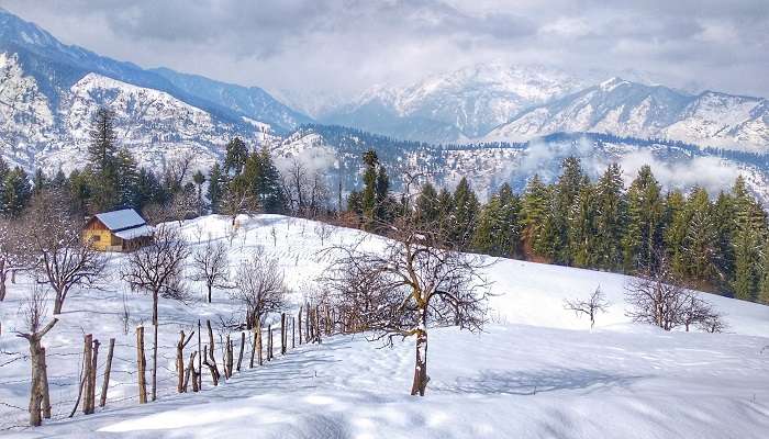 Shimla & Kufri: les stations de montagne les plus visitées d'Inde