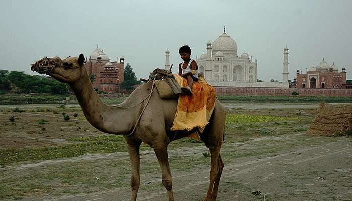 Kachhpura Village is one of the best places in Agra.