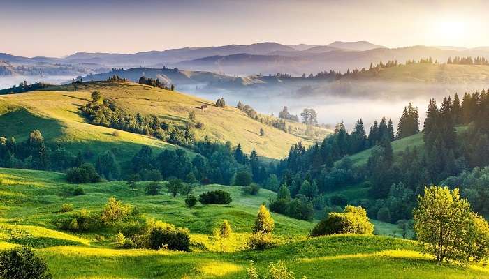 Kodaikanal: la princesse des stations de montagne