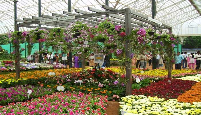 Tourists visiting Lalbagh Botanical Garden in Bengaluru.