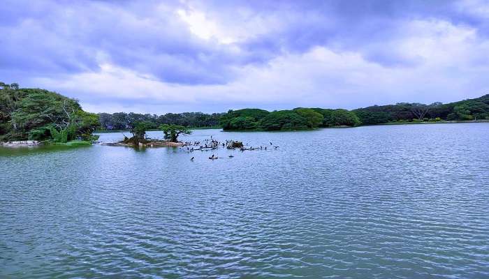 The view of Lalbagh Lake, Places To Visit In Jayanagar.