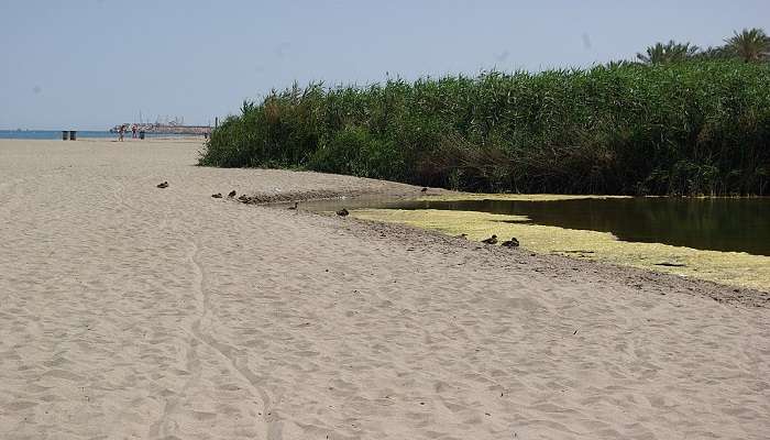 Playas de Vera- Top nude beaches in Spain