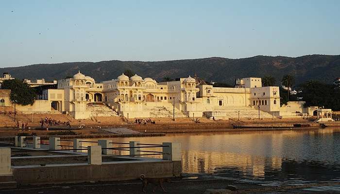 Things To Do In Pushkar Holi Festival