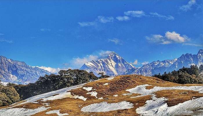 गुरसो बुग्याल तक ट्रेक