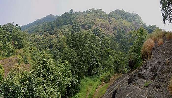 संजय गांधी राष्ट्रीय उद्यान