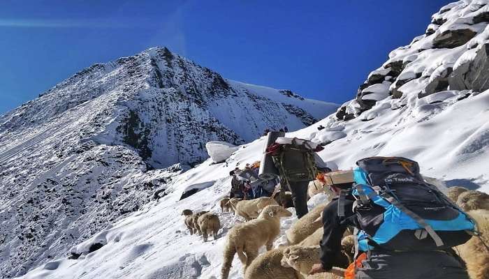 Kugti pass trek Himachal Pradesh