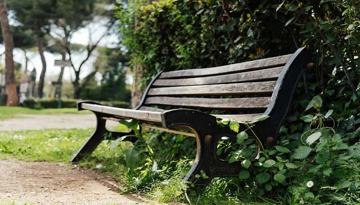 A stunning view of a park bench