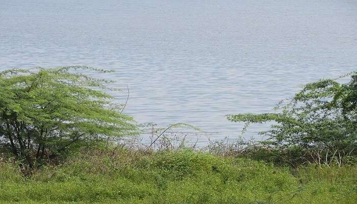 Avadi Lake, near Varahi Amman Temple Ambattur