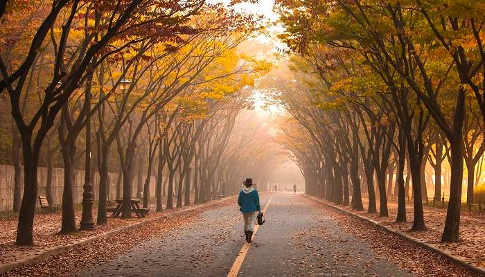 Cheongsando Slow Walking Festival