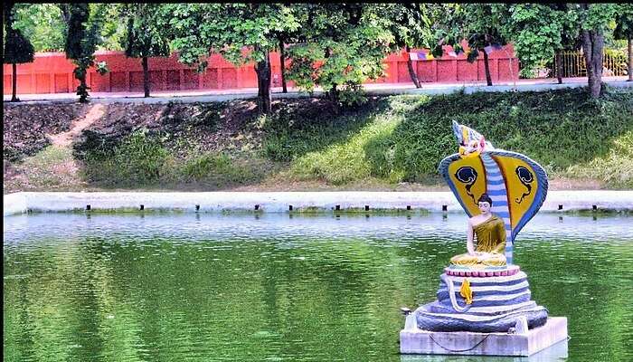 Strolling along the Muchalinda Lake, things to do in Bodh gaya